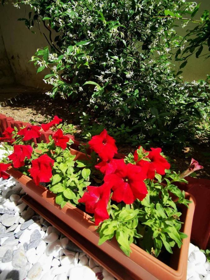 Hermes Modern Apartment Alexandroupolis Buitenkant foto