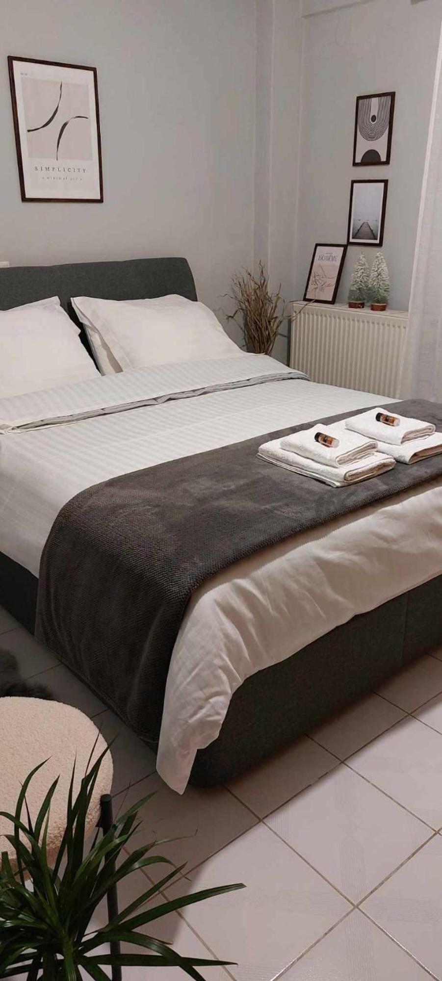 Hermes Modern Apartment Alexandroupolis Buitenkant foto